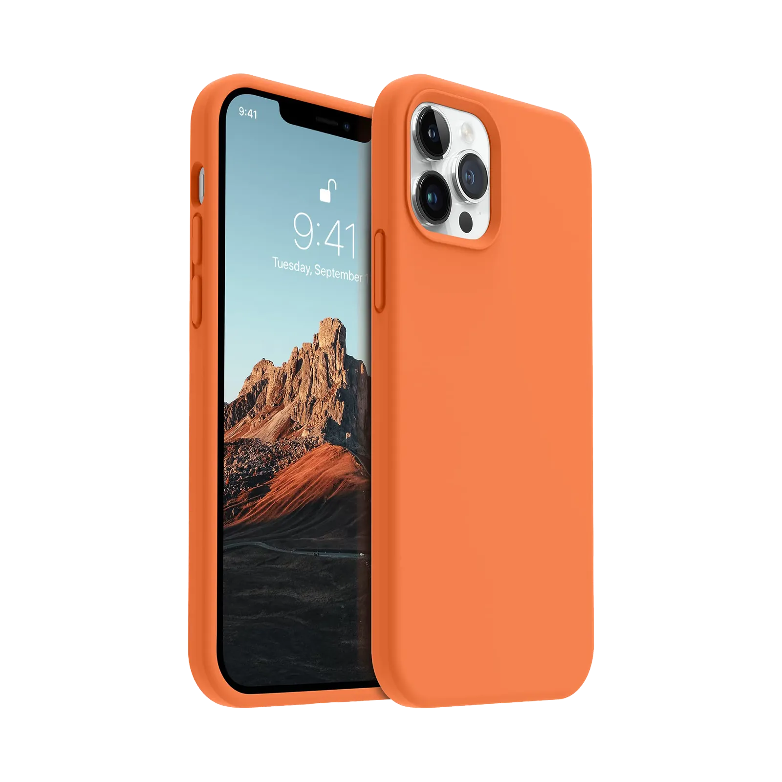 iPhone 12 Pro Max Silicone Case