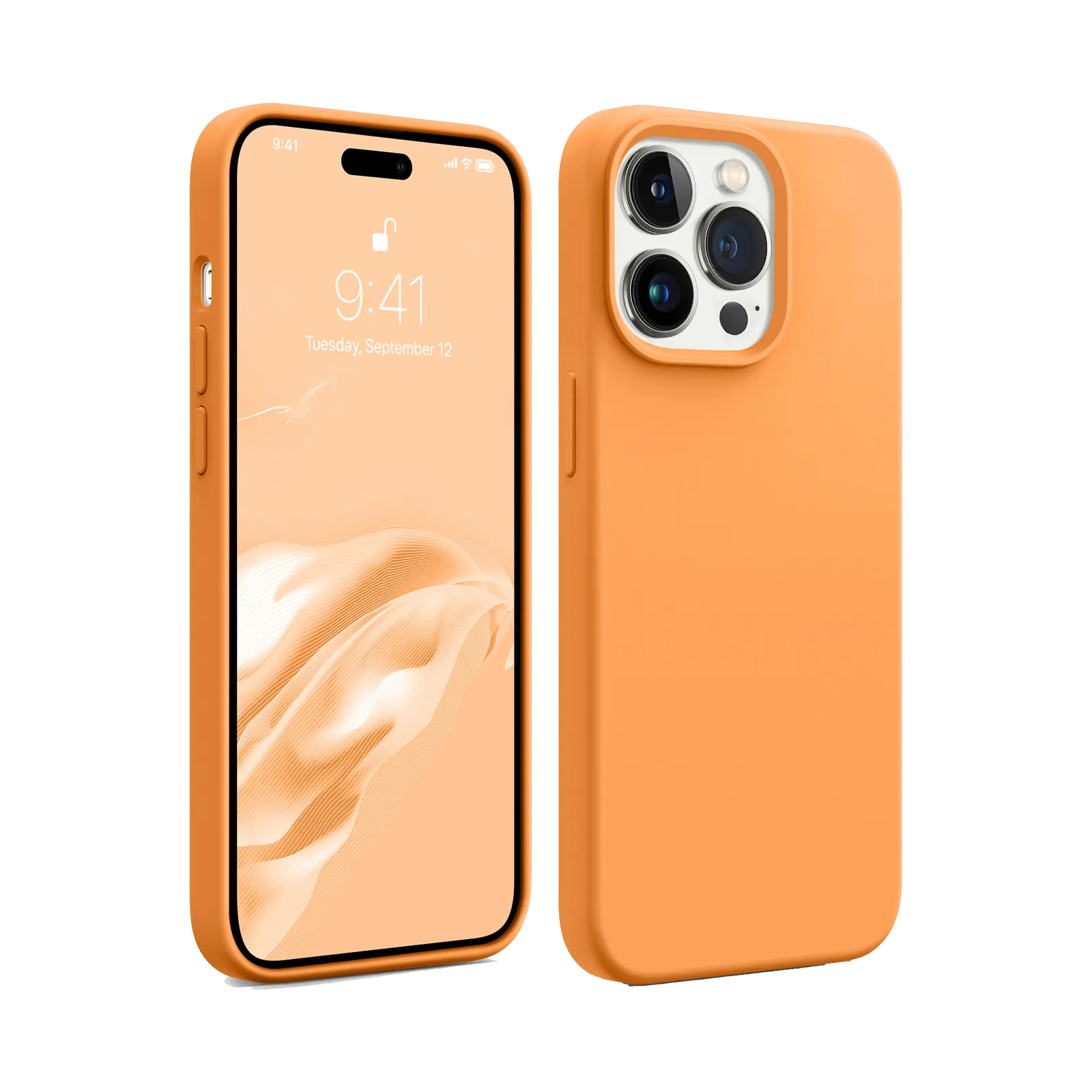 iPhone 13 Pro Silicone Case